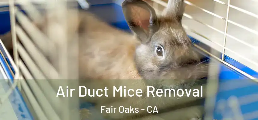Air Duct Mice Removal Fair Oaks - CA