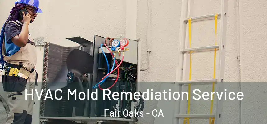 HVAC Mold Remediation Service Fair Oaks - CA