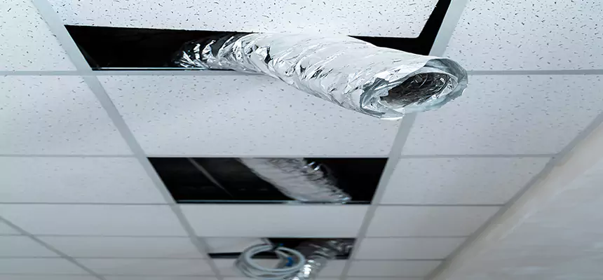 Affordable HVAC Sanitizing After Pest Removal in Fair Oaks