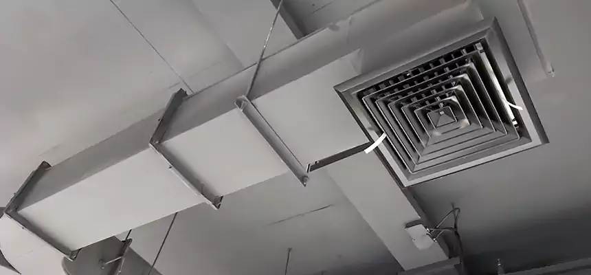 Restorative Allergy Relief Vent Cleaning – Coil, Blower & Housing Detail in Fair Oaks