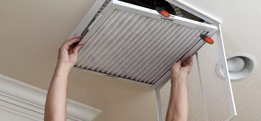 Our Insect Removal from Air Ducts Services in Fair Oaks, CA