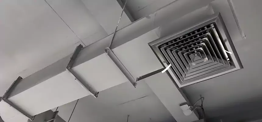 Our Pest Removal From Ducts Services in Fair Oaks, CA