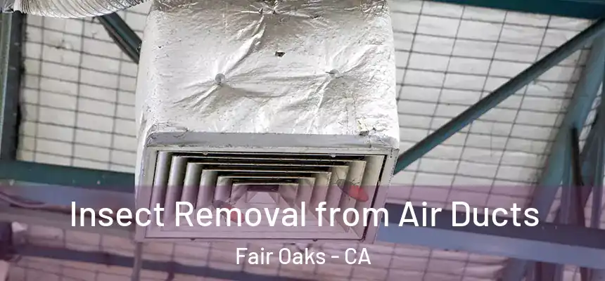  Insect Removal from Air Ducts Fair Oaks - CA