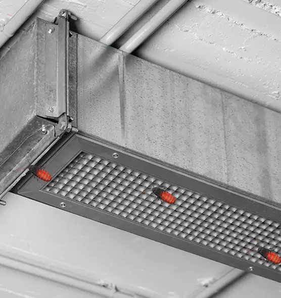 About Air Duct Cockroach Removal in Fair Oaks, CA