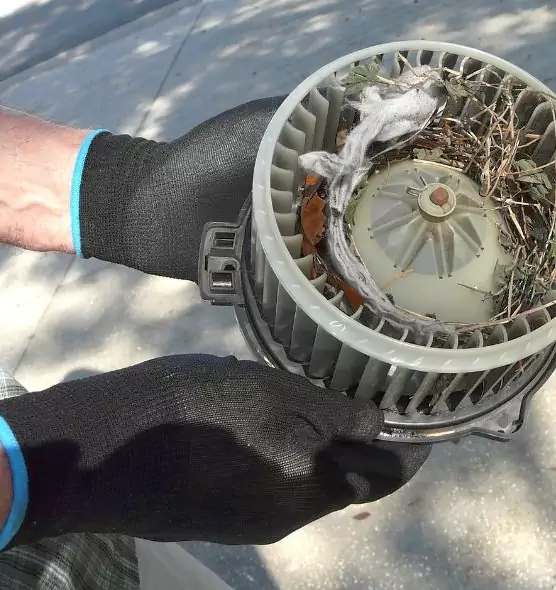 About Air Duct Rat Removal in Fair Oaks, CA