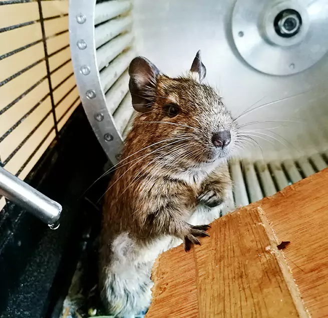 Why Homeowners & Businesses Trust Us Fair Oaks, CA