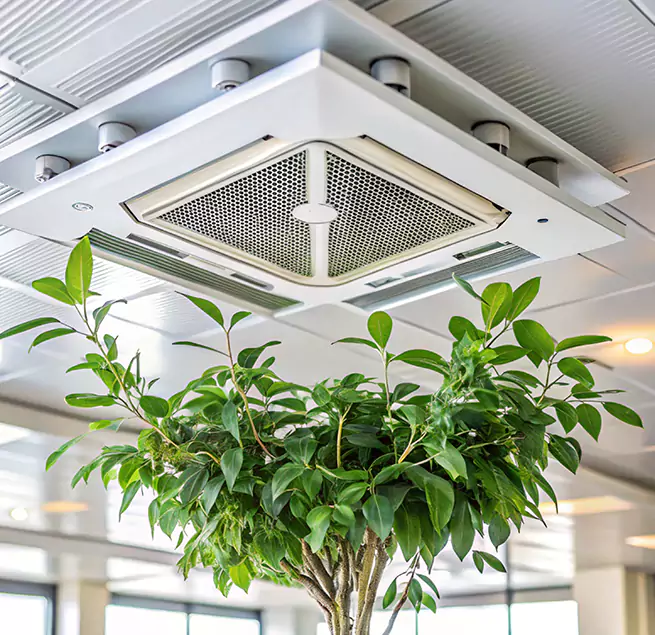 Why Homeowners & Businesses Trust Us in Fair Oaks, CA