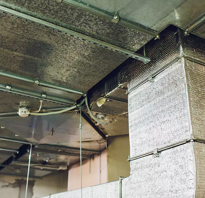 Why Homeowners & Businesses Trust Us in Fair Oaks, CA?